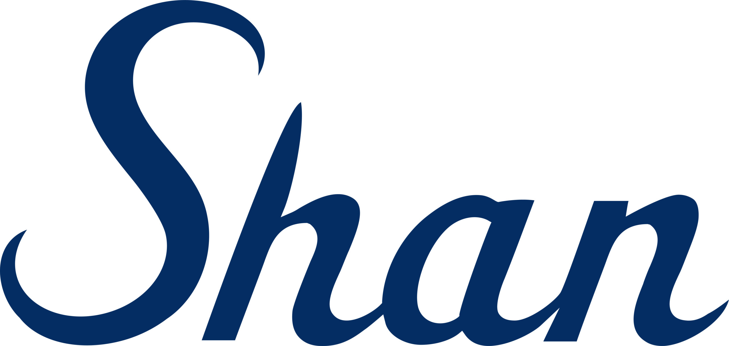 Logo Shan